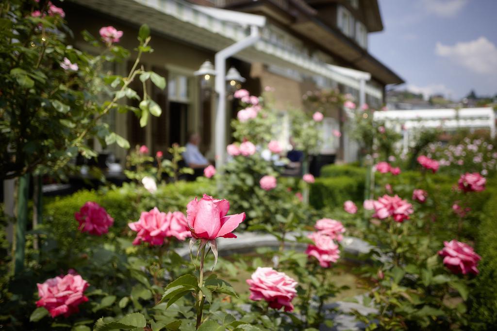 Landgasthof Hotel Roessli Ebikon ภายนอก รูปภาพ